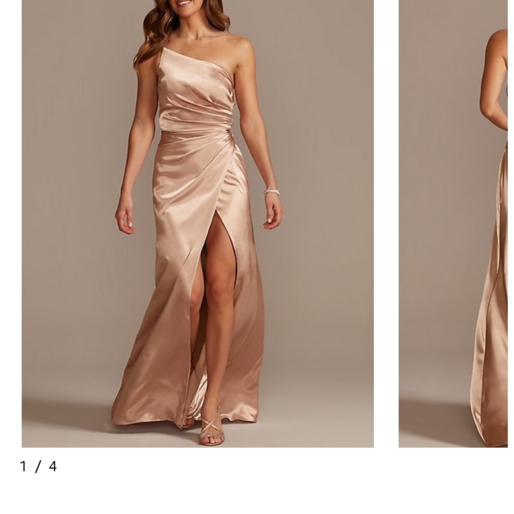 Size 4 David’s Bridal Dress (Sand color)